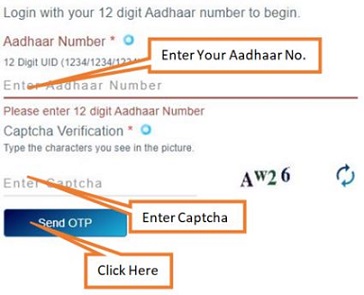 enter your Aadhaar details