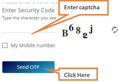 enter captcha