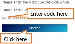enter secret code and click on proceed 